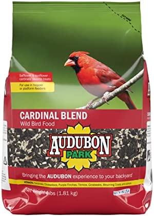 Audubon Park Cardinal Blend Wild Bird Food, Cardinal Bird Seed for Outside Feeders, 4-Pound Bag