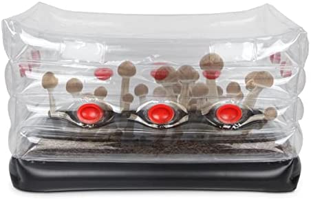 Mushroom Monotub Kit, Home Inflatable Mushroom Grow Kit – Save Your Mushroom Grow Bags